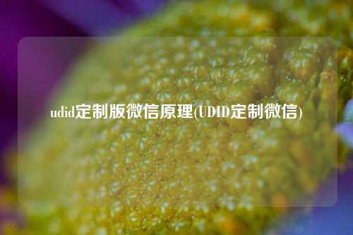 udid定制版微信原理(UDID定制微信)