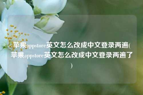 苹果appstore英文怎么改成中文登录两遍(苹果appstore英文怎么改成中文登录两遍了)
