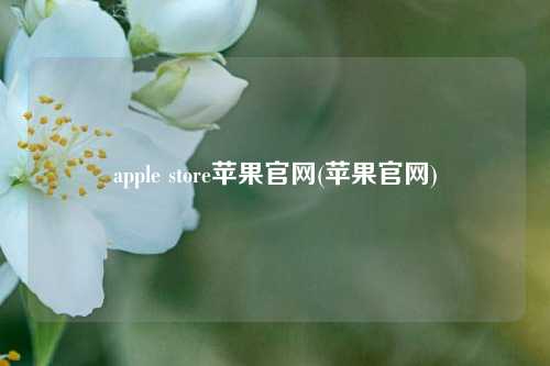 apple store苹果官网(苹果官网)