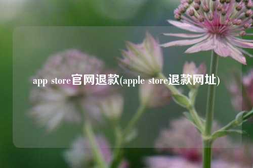 app store官网退款(apple store退款网址)