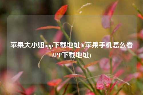 苹果大小姐app下载地址0(苹果手机怎么看APP下载地址)
